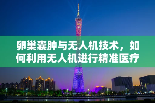 卵巢囊肿与无人机技术，如何利用无人机进行精准医疗监测？