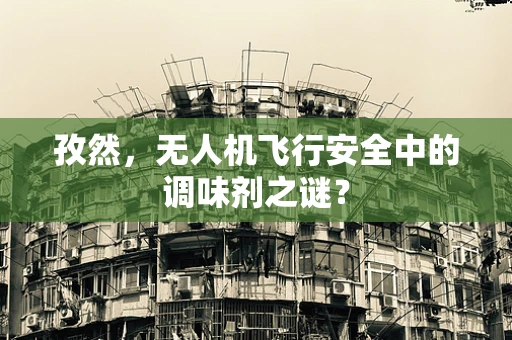 孜然，无人机飞行安全中的调味剂之谜？