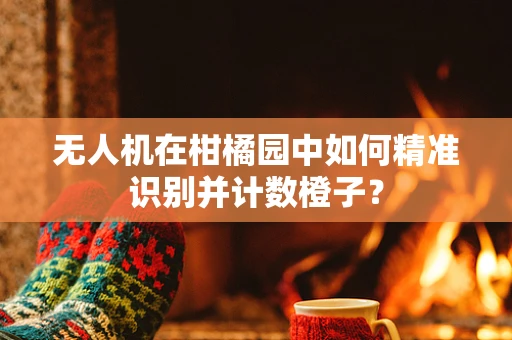 无人机在柑橘园中如何精准识别并计数橙子？