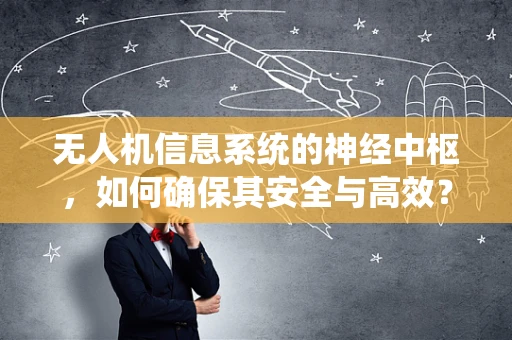 无人机信息系统的神经中枢，如何确保其安全与高效？