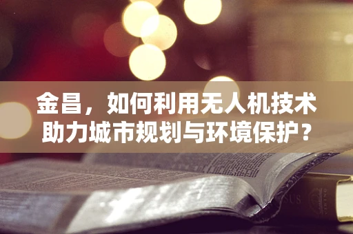 金昌，如何利用无人机技术助力城市规划与环境保护？
