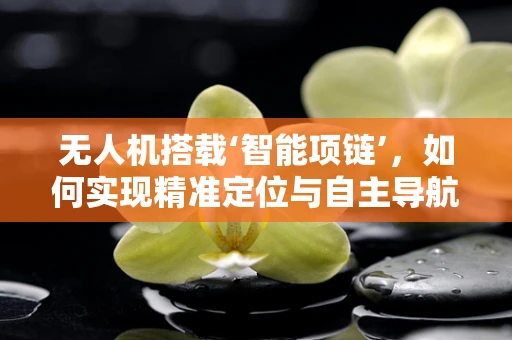 无人机搭载‘智能项链’，如何实现精准定位与自主导航？
