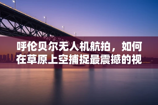 呼伦贝尔无人机航拍，如何在草原上空捕捉最震撼的视角？