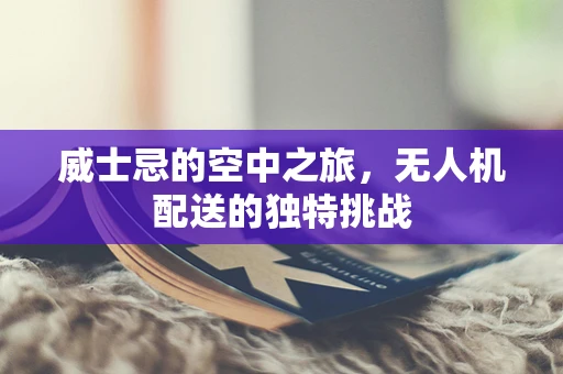 威士忌的空中之旅，无人机配送的独特挑战