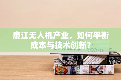 廉江无人机产业，如何平衡成本与技术创新？