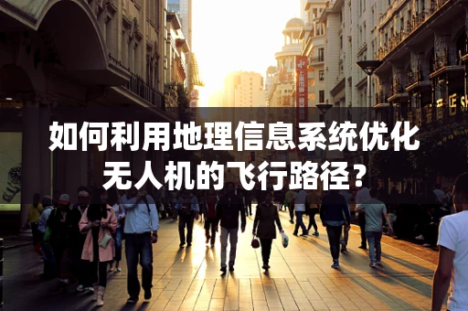 如何利用地理信息系统优化无人机的飞行路径？