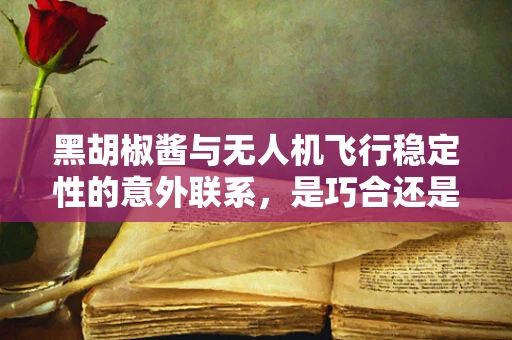 黑胡椒酱与无人机飞行稳定性的意外联系，是巧合还是科技新突破？