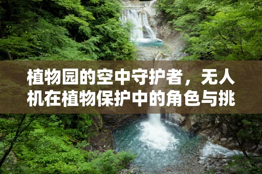 植物园的空中守护者，无人机在植物保护中的角色与挑战