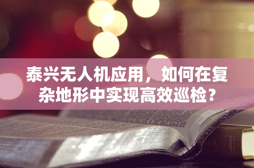 泰兴无人机应用，如何在复杂地形中实现高效巡检？