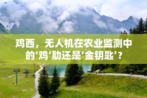 鸡西，无人机在农业监测中的‘鸡’肋还是‘金钥匙’？