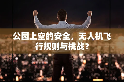 公园上空的安全，无人机飞行规则与挑战？