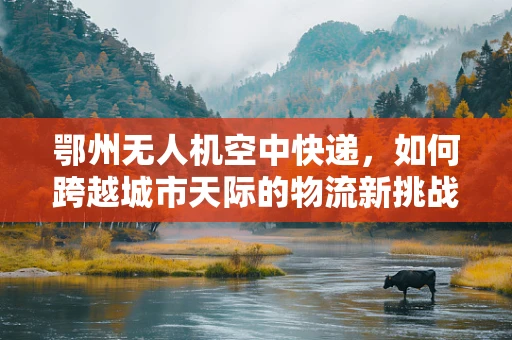 鄂州无人机空中快递，如何跨越城市天际的物流新挑战？