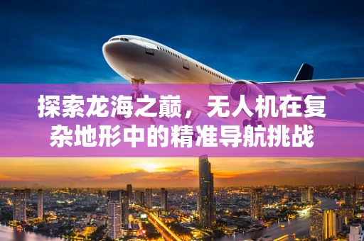 探索龙海之巅，无人机在复杂地形中的精准导航挑战