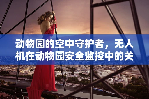 动物园的空中守护者，无人机在动物园安全监控中的关键角色？