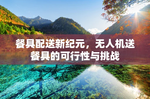 餐具配送新纪元，无人机送餐具的可行性与挑战