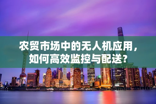 农贸市场中的无人机应用，如何高效监控与配送？