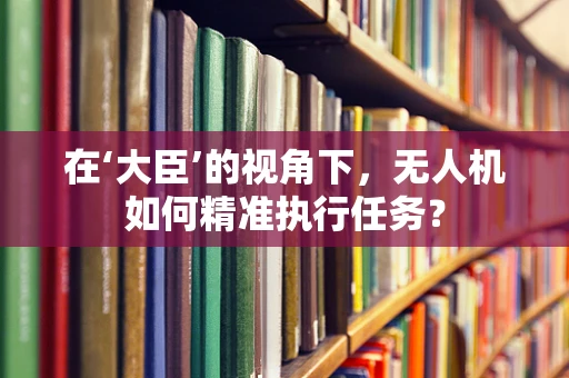 在‘大臣’的视角下，无人机如何精准执行任务？