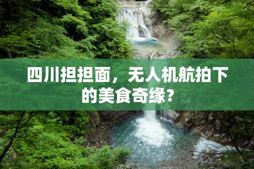 四川担担面，无人机航拍下的美食奇缘？