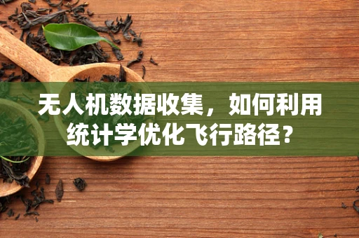 无人机数据收集，如何利用统计学优化飞行路径？