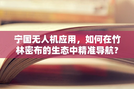 宁国无人机应用，如何在竹林密布的生态中精准导航？