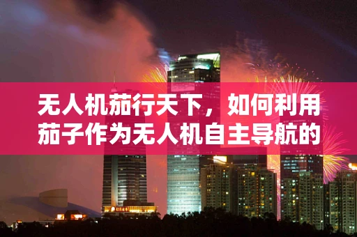 无人机茄行天下，如何利用茄子作为无人机自主导航的视觉标志？