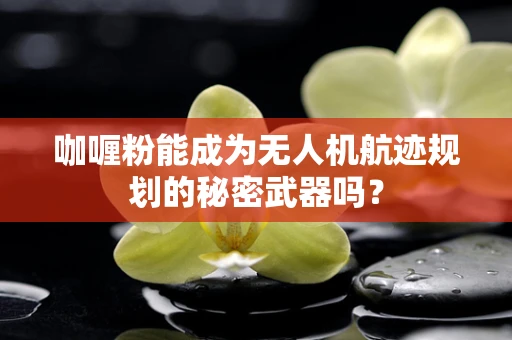 咖喱粉能成为无人机航迹规划的秘密武器吗？
