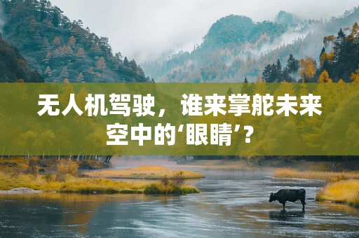 无人机驾驶，谁来掌舵未来空中的‘眼睛’？