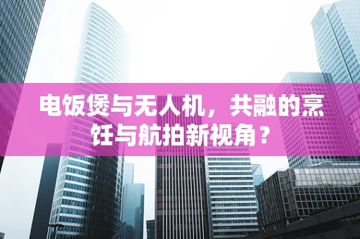 电饭煲与无人机，共融的烹饪与航拍新视角？