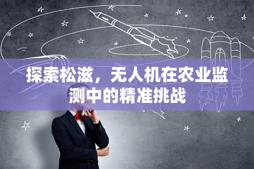 探索松滋，无人机在农业监测中的精准挑战