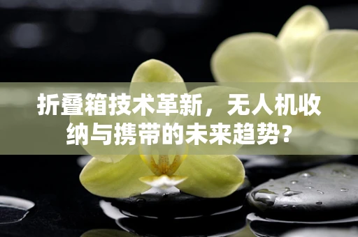 折叠箱技术革新，无人机收纳与携带的未来趋势？