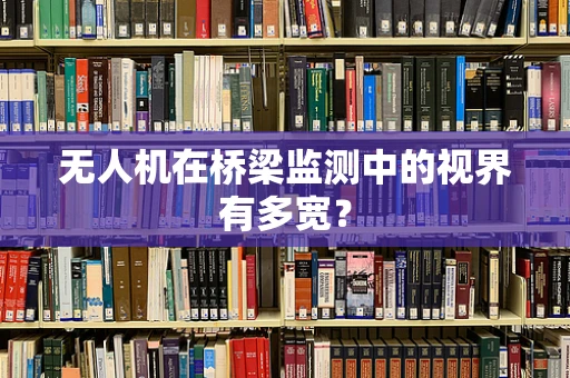 无人机在桥梁监测中的视界有多宽？