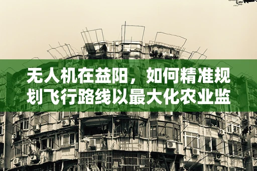 无人机在益阳，如何精准规划飞行路线以最大化农业监测效率？