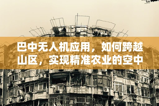 巴中无人机应用，如何跨越山区，实现精准农业的空中之眼？