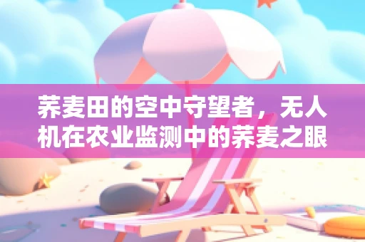 荞麦田的空中守望者，无人机在农业监测中的荞麦之眼