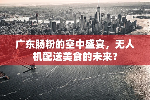 广东肠粉的空中盛宴，无人机配送美食的未来？