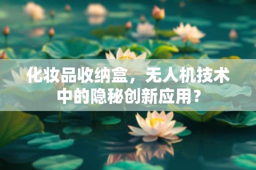 化妆品收纳盒，无人机技术中的隐秘创新应用？