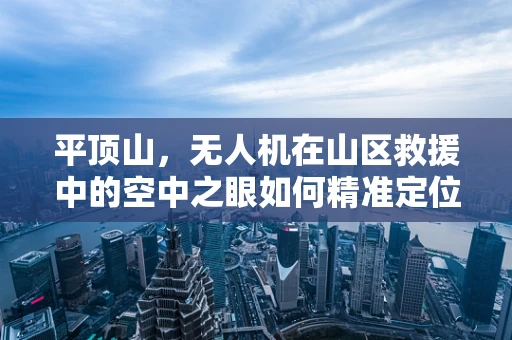 平顶山，无人机在山区救援中的空中之眼如何精准定位？