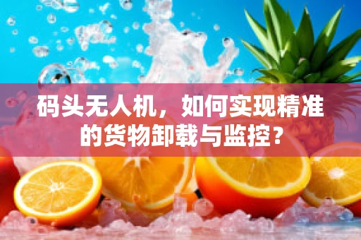 码头无人机，如何实现精准的货物卸载与监控？