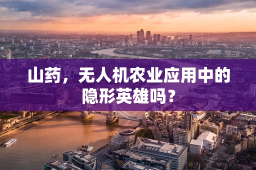 山药，无人机农业应用中的隐形英雄吗？