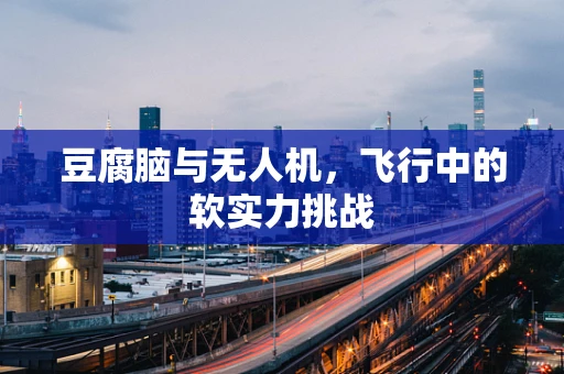 豆腐脑与无人机，飞行中的软实力挑战