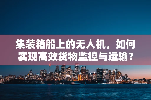 集装箱船上的无人机，如何实现高效货物监控与运输？