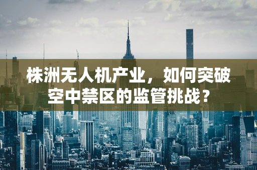 株洲无人机产业，如何突破空中禁区的监管挑战？