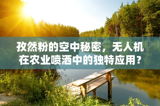 孜然粉的空中秘密，无人机在农业喷洒中的独特应用？