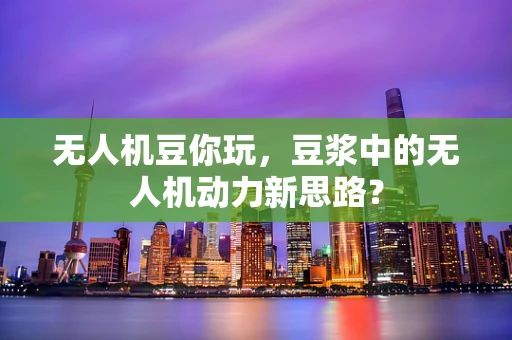 无人机豆你玩，豆浆中的无人机动力新思路？