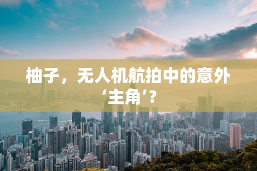 柚子，无人机航拍中的意外‘主角’？