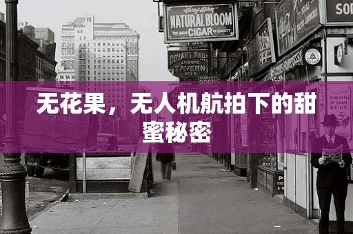 无花果，无人机航拍下的甜蜜秘密