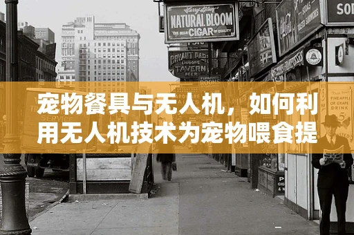 宠物餐具与无人机，如何利用无人机技术为宠物喂食提供新方案？
