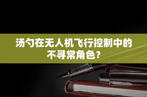 汤勺在无人机飞行控制中的不寻常角色？