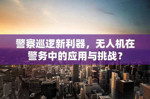 警察巡逻新利器，无人机在警务中的应用与挑战？