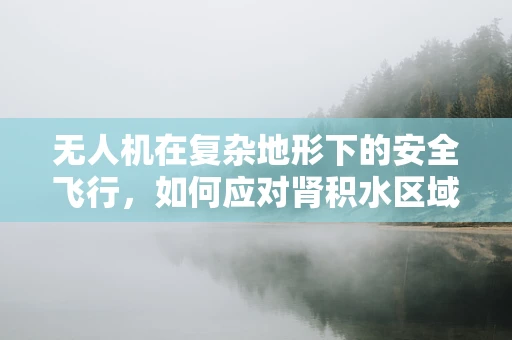 无人机在复杂地形下的安全飞行，如何应对肾积水区域的挑战？